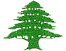 Lebanese CEDAR